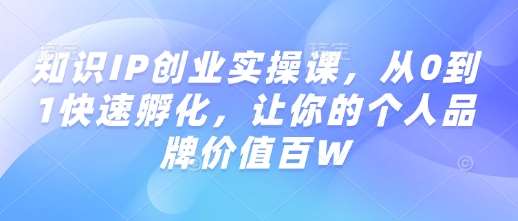 知识IP创业实操课，从0到1快速孵化，让你的个人品牌价值百W-赛德副业库