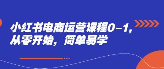 小红书电商运营课程0-1，从零开始，简单易学-赛德副业库