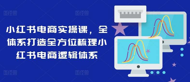 小红书电商实操课，全体系打造全方位梳理小红书电商逻辑体系-赛德副业库