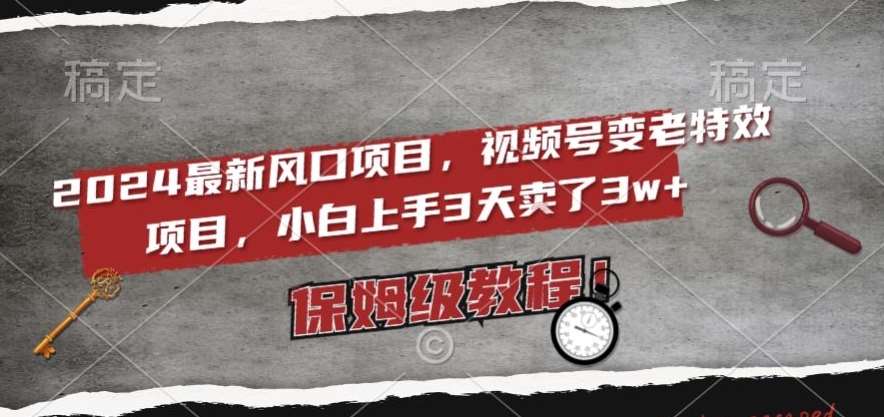 2024最新风口项目，视频号变老特效项目，电脑小白上手3天卖了3w+，保姆级教程【揭秘】-赛德副业库