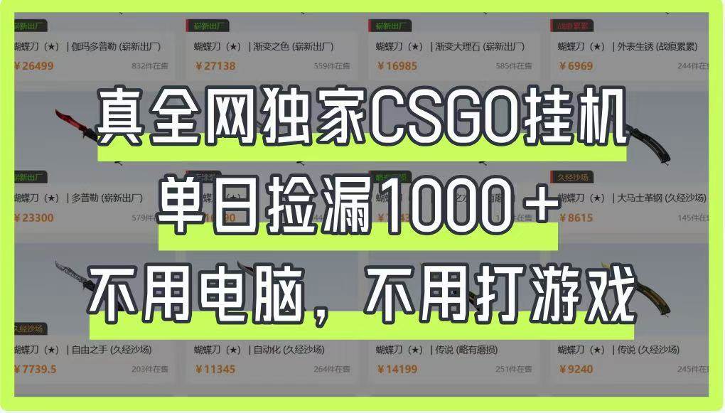 真全网独家CSGO挂机，单日捡漏1000+，不用电脑，不用养号-赛德副业库