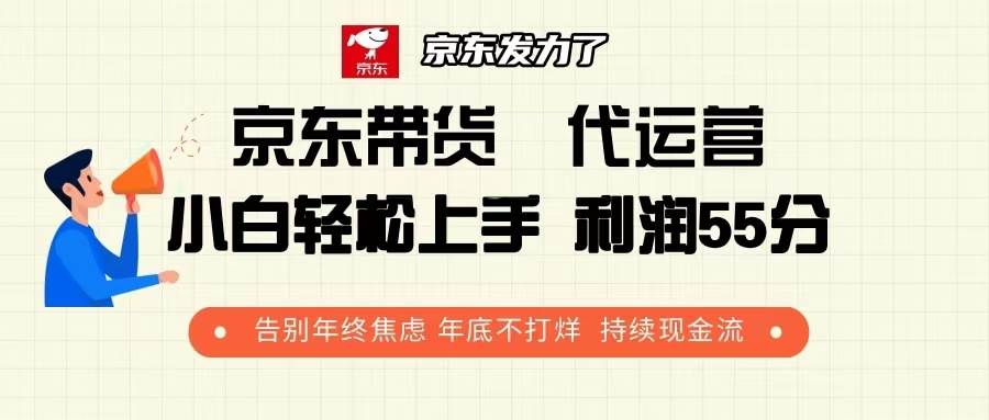 （13833期）京东带货 代运营 利润55分 告别年终焦虑 年底不打烊 持续现金流-赛德副业库