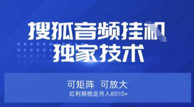 【搜狐音频挂G】独家技术,可矩阵可放大,红利期稳定月入8k【揭秘】-赛德副业库