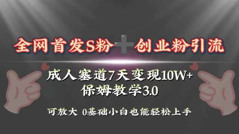 （8337期）全网首发s粉加创业粉引流变现，成人用品赛道7天变现10w+保姆教学3.0-赛德副业库