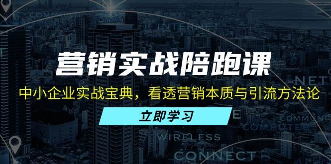(13146期)营销实战陪跑课:中小企业实战宝典,看透营销本质与引流方法论-赛德副业库