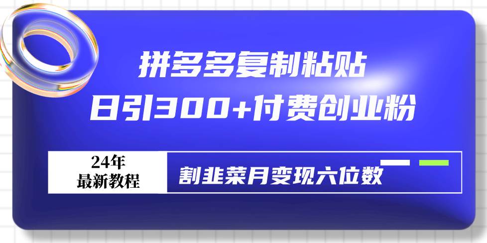 （9129期）拼多多复制粘贴日引300+付费创业粉，割韭菜月变现六位数最新教程！-赛德副业库