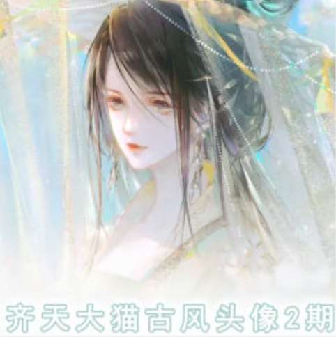 齐天大猫古风头像课第2期，帮助您提高您的绘画技能-赛德副业库