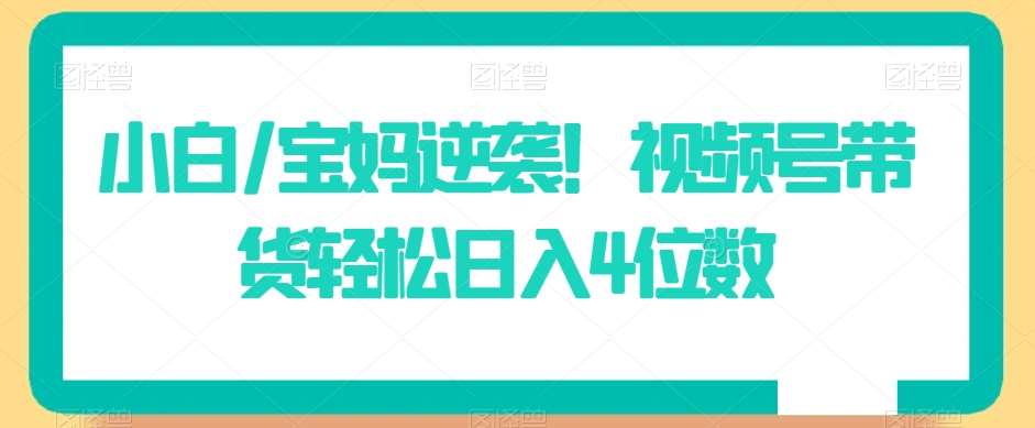 小白/宝妈逆袭！视频号带货轻松日入4位数【揭秘】-赛德副业库
