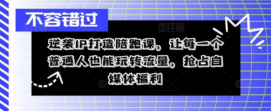 逆袭IP打造陪跑课，让每一个普通人也能玩转流量，抢占自媒体福利-赛德副业库