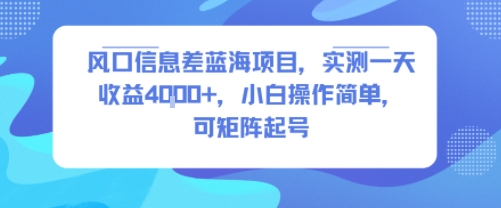 风口信息差蓝海项目，实测一天收益4k+，小白操作简单，可矩阵起号-赛德副业库