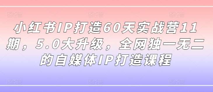 小红书IP打造60天实战营11期，5.0大升级，全网独一无二的自媒体IP打造课程-赛德副业库