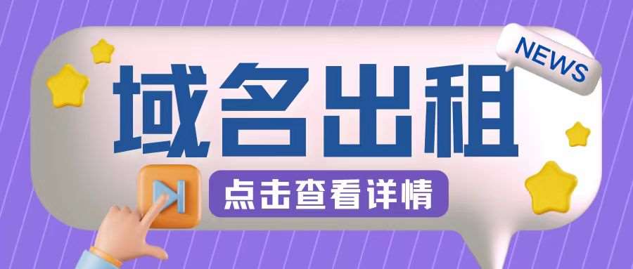 冷门项目,域名出租玩法,简单粗暴适合小白【揭秘】-赛德副业库