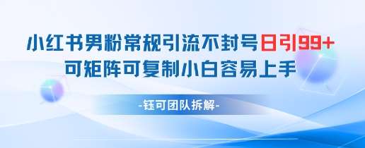 小红书男粉常规引流不封号日引99+变现简单 可矩阵可复制小白容易上手-赛德副业库