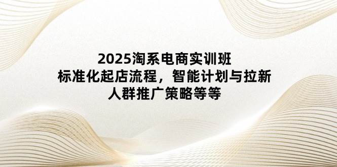 （14522期）2025淘系电商实训班：标准化起店流程，智能计划与拉新，人群推广策略等等-赛德副业库