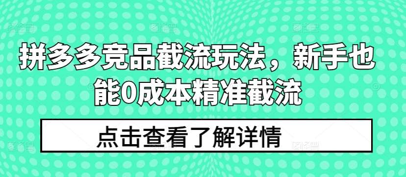 拼多多竞品截流玩法，新手也能0成本精准截流-赛德副业库