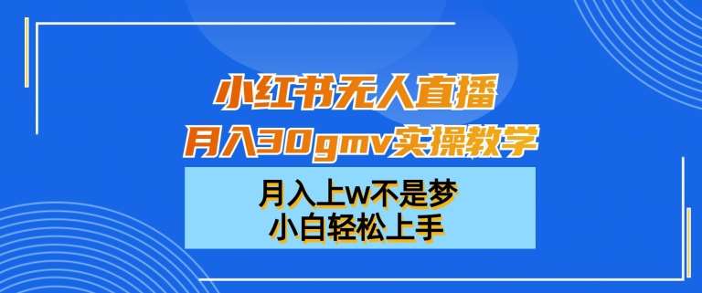 小红书无人直播月入30gmv实操教学，月入上w不是梦，小白轻松上手【揭秘】-赛德副业库