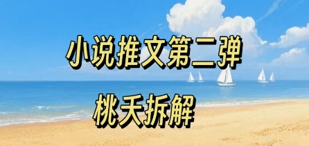 小说推文项目操作全流程第二弹，0粉就能做，门槛低非常适合新手-赛德副业库