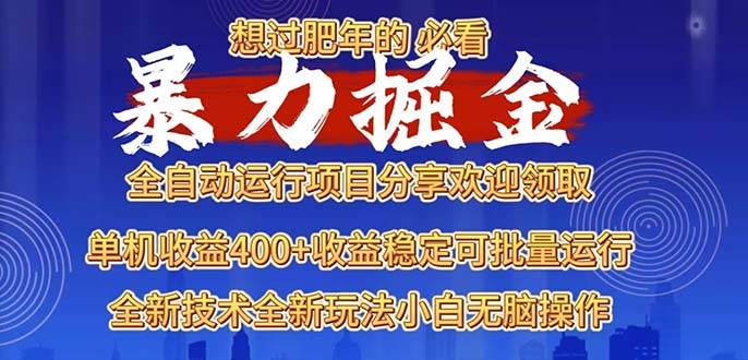 （13675期）2025暴力掘金项目，想过肥年必看！-赛德副业库