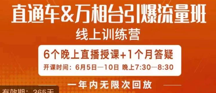 直通车&万相台引爆流量班,6天打通你开直通车·万相台的任督二脉-赛德副业库