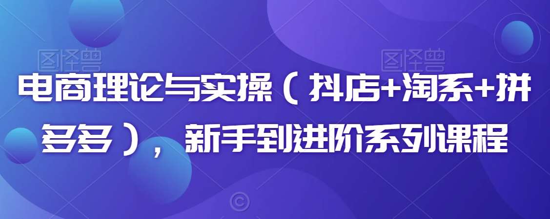 电商理论与实操（抖店+淘系+拼多多），新手到进阶系列课程-赛德副业库