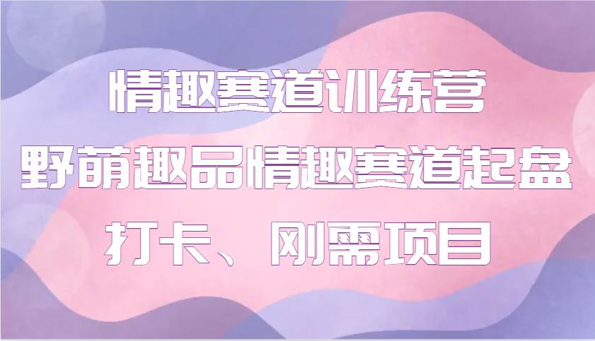 情趣赛道训练营 野萌趣品情趣赛道起盘打卡、刚需项目-赛德副业库