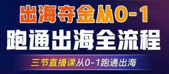 2025出海夺金从0-1跑通出海全流程,三节直播课从0-1跑通出海,教你用AI跑通全流程-赛德副业库
