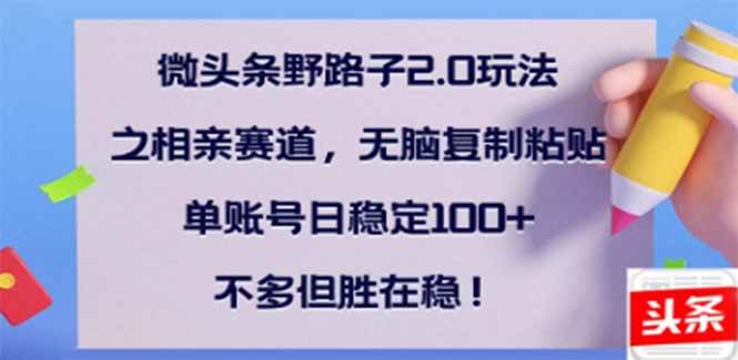 （14334期）微头条野路子2.0玩法之相亲赛道，无脑搬砖复制粘贴，单账号日稳定300+…-赛德副业库