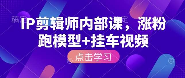 IP剪辑师内部课，涨粉跑模型+挂车视频-赛德副业库