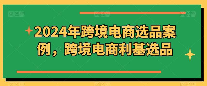 2024年跨境电商选品案例，跨境电商利基选品（更新）-赛德副业库