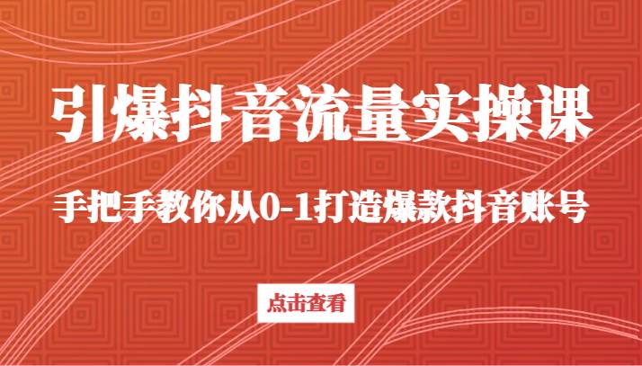 引爆抖音流量实操课，手把手教你从0-1打造爆款抖音账号（27节课）-赛德副业库
