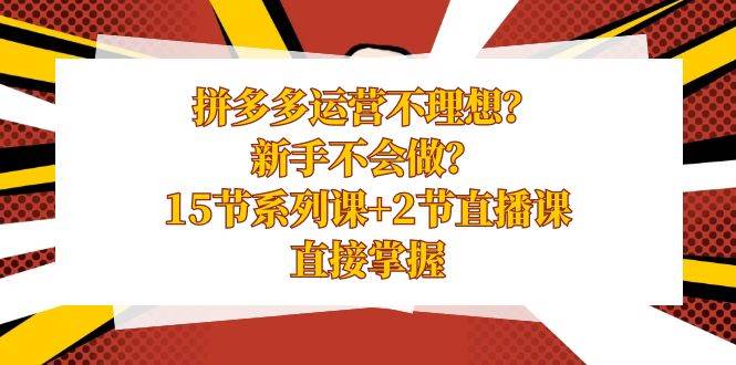 (8479期)拼多多运营不理想?新手不会做?15节系列课+2节直播课,直接掌握-赛德副业库