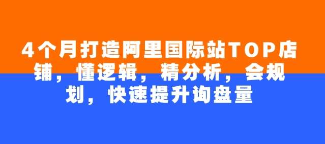 4个月打造阿里国际站TOP店铺,懂逻辑,精分析,会规划,快速提升询盘量-赛德副业库