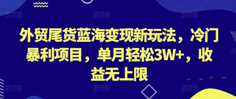 外贸尾货蓝海变现新玩法，冷门暴利项目，单月轻松3W+，收益无上限【揭秘】-赛德副业库