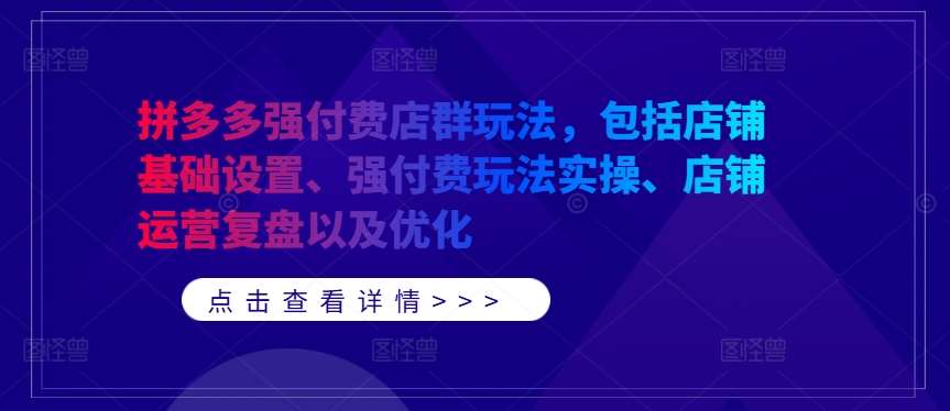 拼多多强付费店群玩法，包括店铺基础设置、强付费玩法实操、店铺运营复盘以及优化-赛德副业库