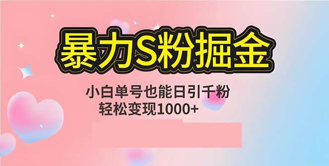 （12778期）单人单机日引千粉，变现1000+，S粉流量掘金计划攻略-赛德副业库