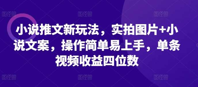 小说推文新玩法，实拍图片+小说文案，操作简单易上手，单条视频收益四位数-赛德副业库
