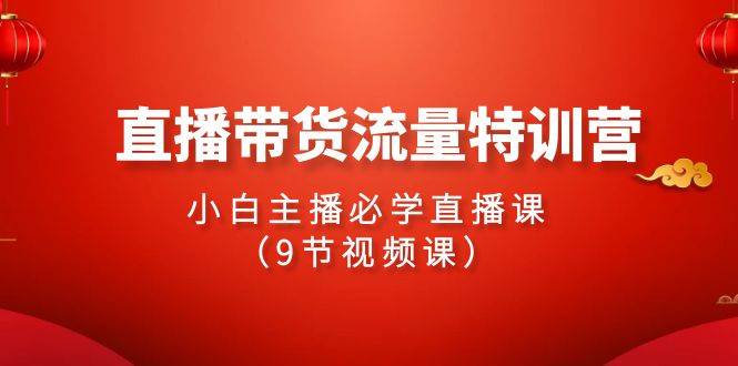 2024直播带货流量特训营,小白主播必学直播课(9节视频课)-赛德副业库