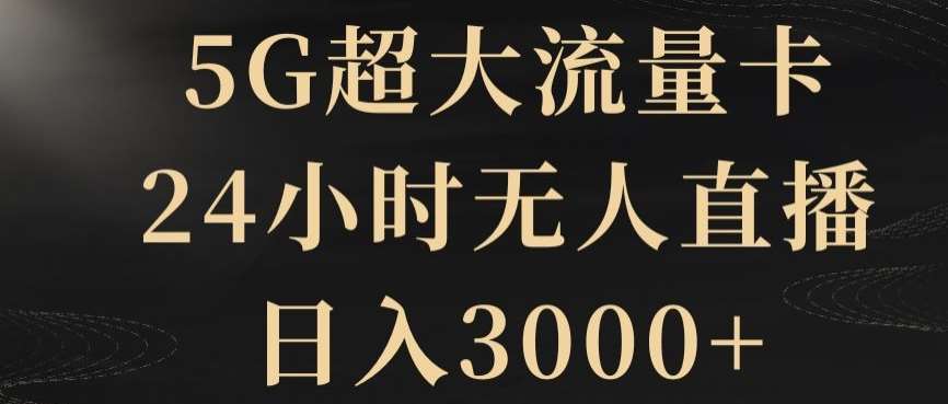 5G超大流量卡，24小时无人直播，日入3000+【揭秘】-赛德副业库