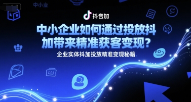 中小企业如何通过投放抖加带来精准获客变现?企业实体抖加投放精准变现秘籍-赛德副业库