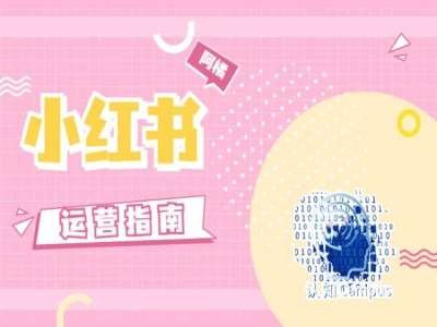 小红书运营指南，没有套路，全是经验-赛德副业库