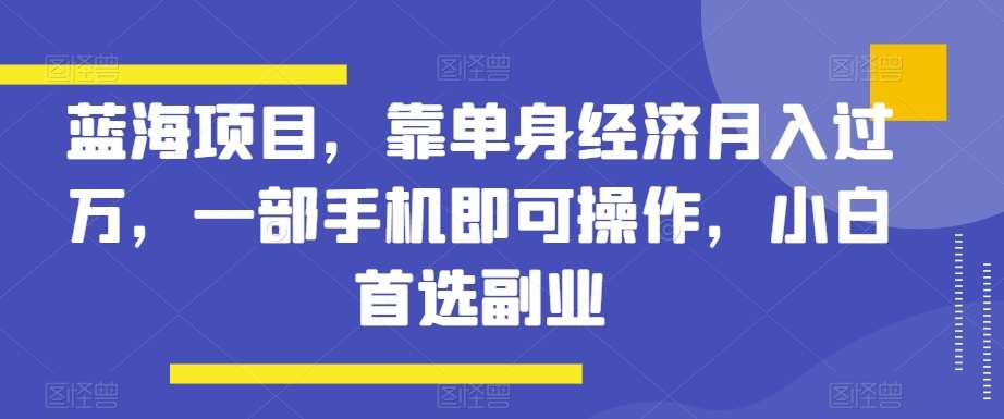 蓝海项目，靠单身经济月入过万，一部手机即可操作，小白首选副业【揭秘】-赛德副业库