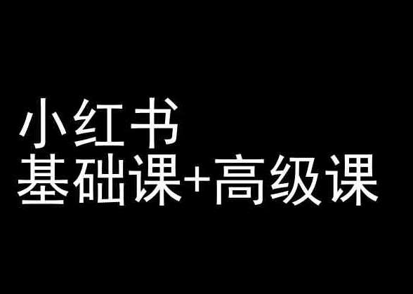 小红书基础课+高级课-小红书运营教程-赛德副业库