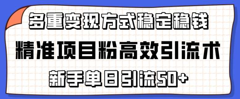 精准项目粉高效引流术，新手单日引流50+，多重变现方式稳定赚钱【揭秘】-赛德副业库