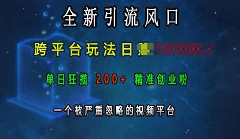 全新引流风口,跨平台玩法日入上k,单日狂揽200+精准创业粉,一个被严重忽略的视频平台-赛德副业库