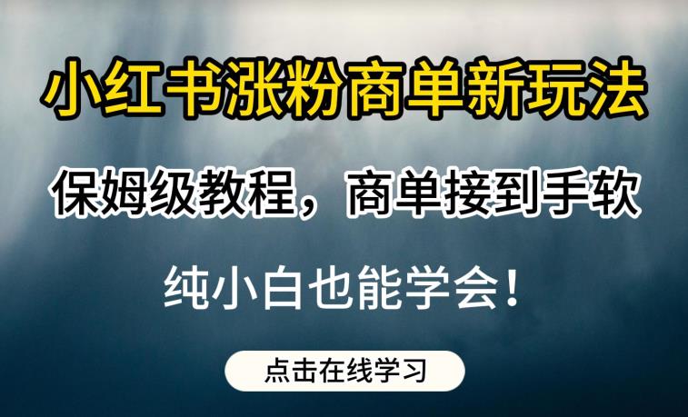 小红书涨粉商单新玩法，保姆级教程，商单接到手软，纯小白也能学会【揭秘】-赛德副业库