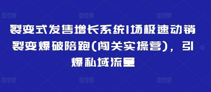 裂变式发售增长系统1场极速动销裂变爆破陪跑(闯关实操营),引爆私域流量-赛德副业库