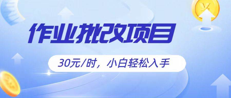 作业批改项目30元/时，简单小白轻松入手，非常适合兼职-赛德副业库