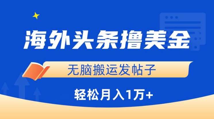 海外头条撸美金，无脑搬运发帖子，月入1万+，小白轻松掌握【揭秘】-赛德副业库