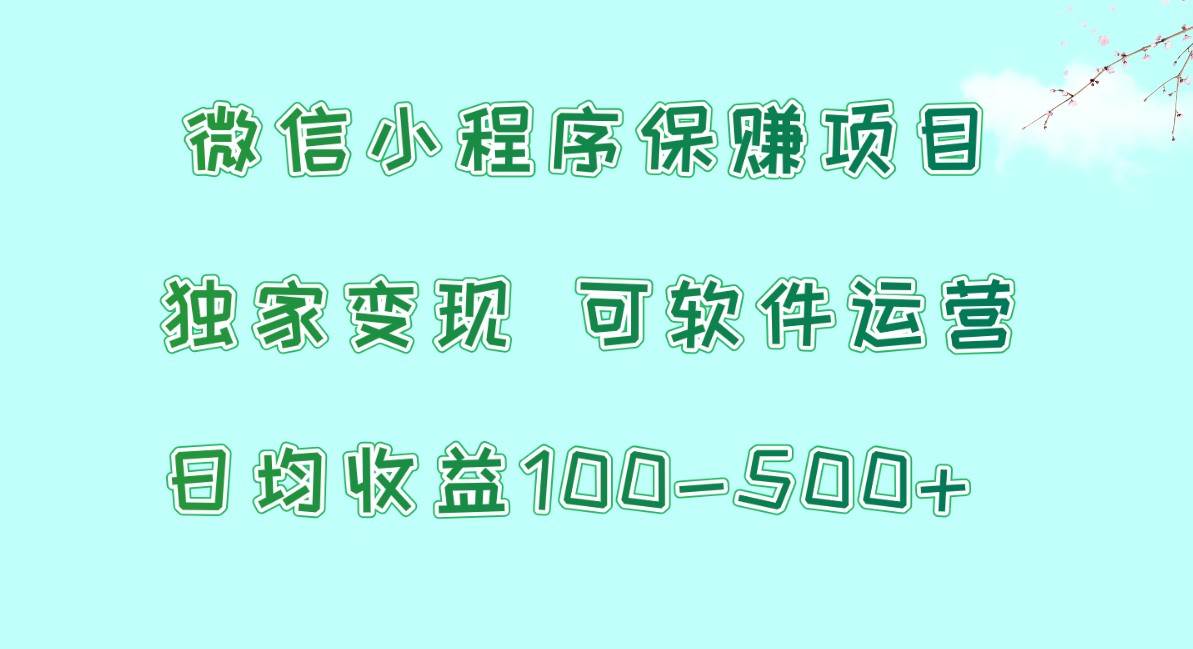 微信小程序保赚项目，日均收益100~500+，独家变现，可软件运营-赛德副业库
