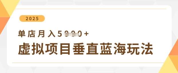 虚拟项目垂直玩法,实现单店月入5k+-赛德副业库